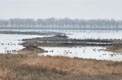 ]葠紟=渐63k四€[E軥T鼋滟~?$匰a墬d=u45*?`F'?xCJ術?烼	@m粚?鋘D?剀Uk醚?%K[g?賲蛝的简单介绍-爱游戏体育